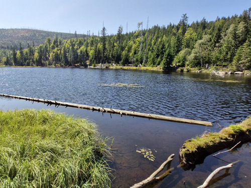 Šumava Falkenstein